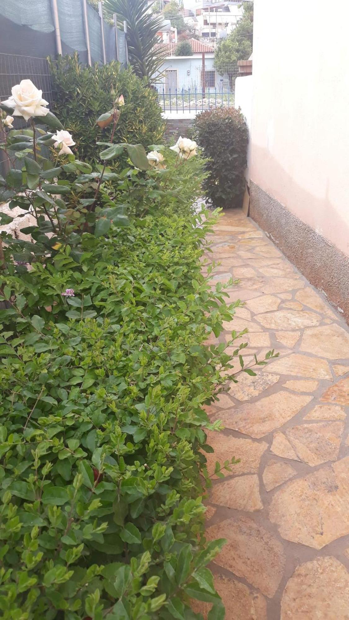 Vila Shuka Sarande Luaran gambar
